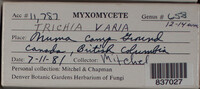 Image Associated With the Occurence